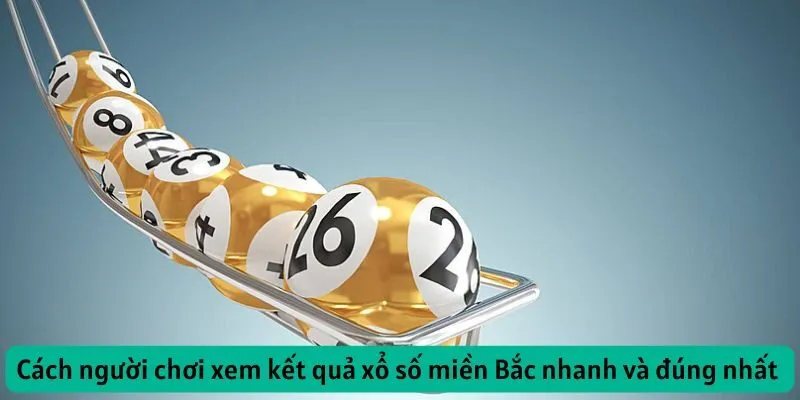 Cách người chơi xem kết quả xổ số miền Bắc nhanh và đúng nhất