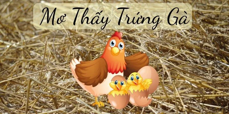 Mơ thấy trứng gà